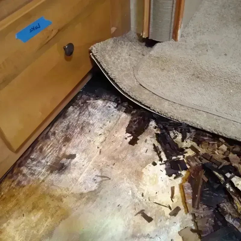 Wood Floor Water Damage in Strathmore, NJ